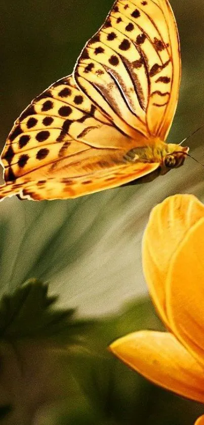 A delicate butterfly perched on a vibrant yellow flower, set against a natural backdrop.