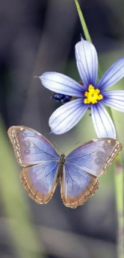 Purple flower and butterfly mobile wallpaper.