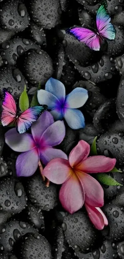 Colorful butterflies and flowers on black stones wallpaper.