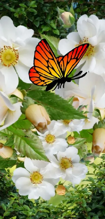 Vibrant butterfly on white flowers surrounded by green leaves.