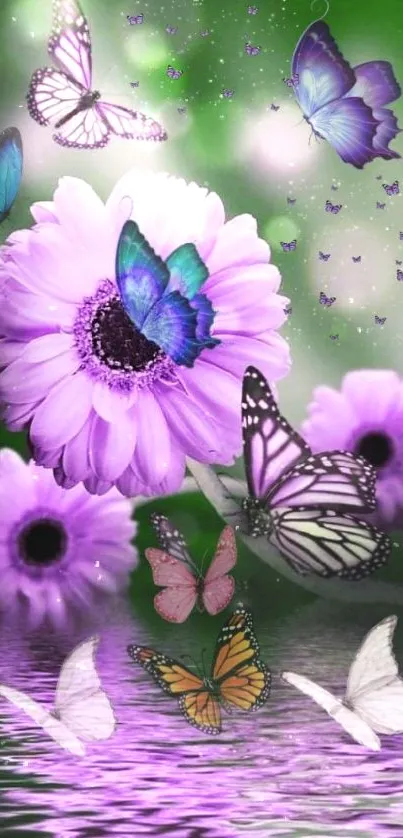 Purple flowers and butterflies with soft green background.