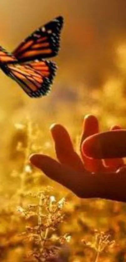 Butterfly flying over a hand in a golden sunset background.