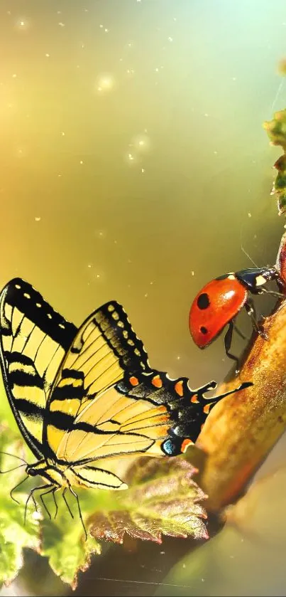 Vibrant butterfly and ladybug on a leaf, basking in light green ambiance.