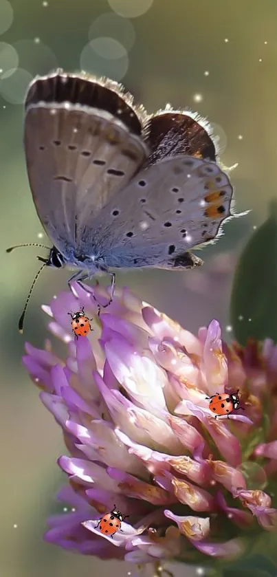 Close-up of butterfly and ladybugs on purple flower in serene natural setting.