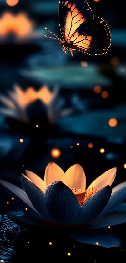 Beautiful butterfly and lit lotus flower against dark background.