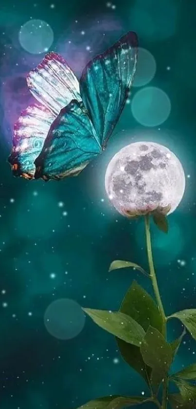 Blue butterfly on moonlit flower with teal background.