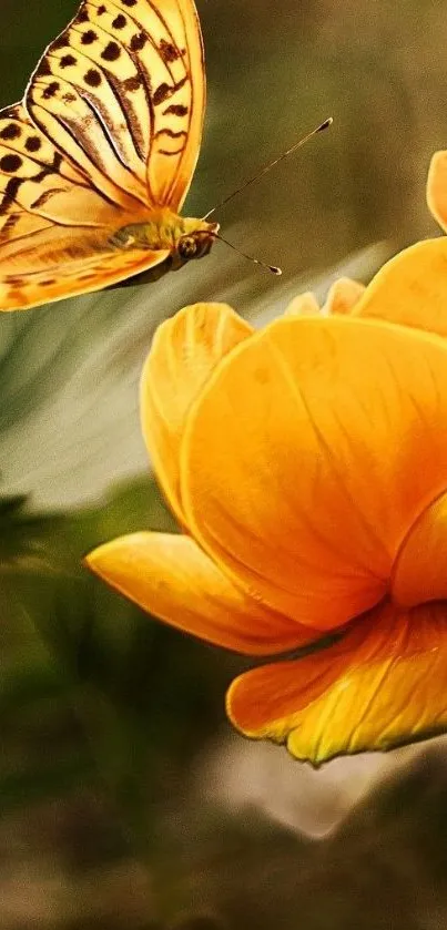 Butterfly hovering over vibrant orange flowers in nature scene.