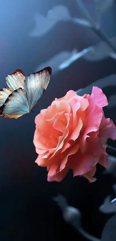 Butterfly perched on a vibrant pink rose with a blue background.