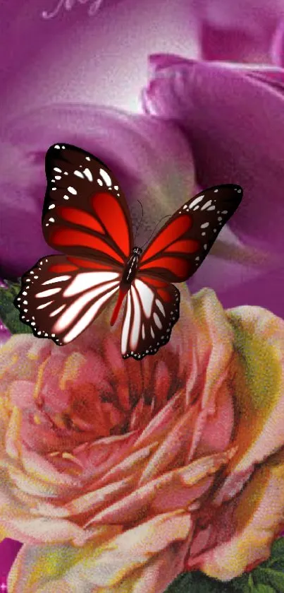 Red butterfly sits on blooming roses with purple petals.