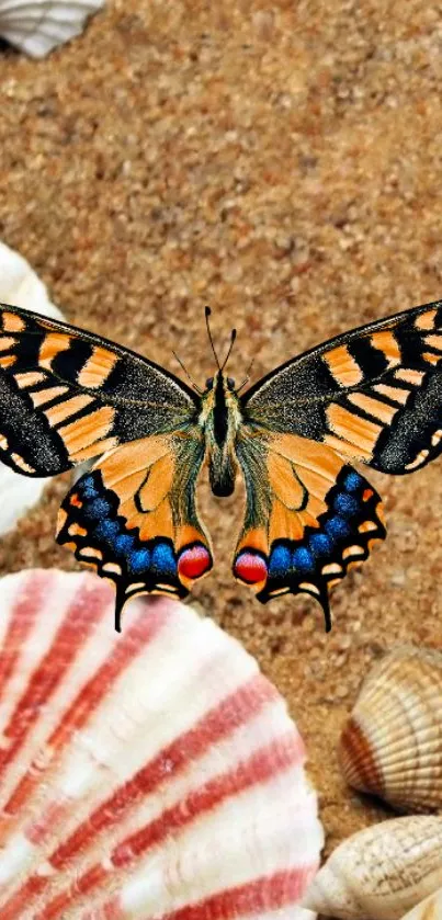 Vibrant butterfly with seashells on sandy beach background wallpaper.