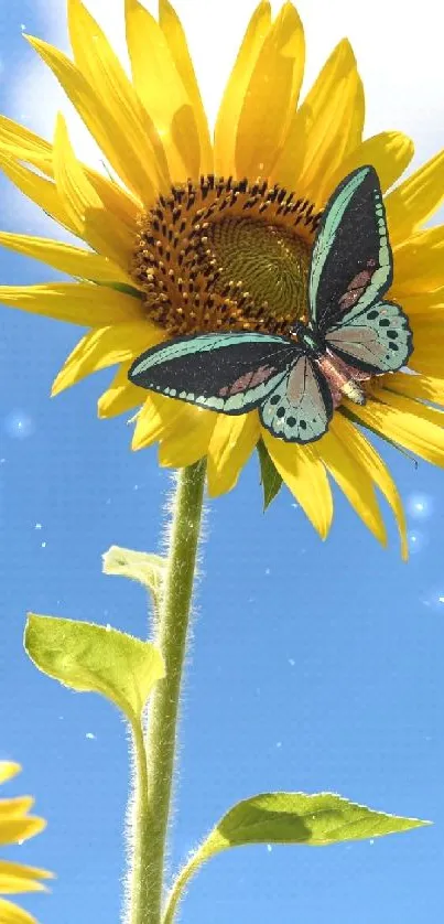 Vibrant butterfly on sunflower against a blue sky.