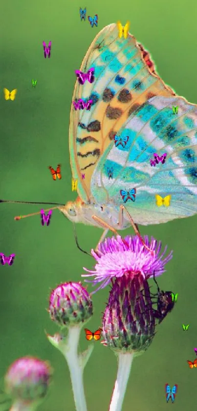 Vibrant butterfly on thistle with green background.