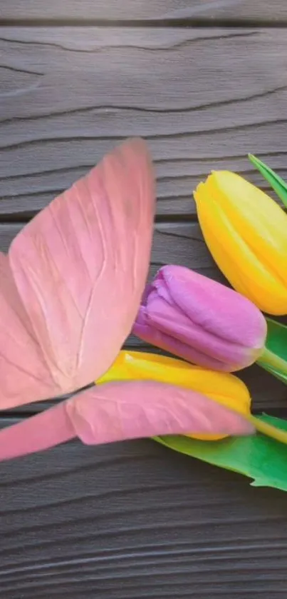 Pink butterfly on tulips against wooden background.