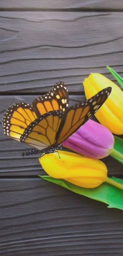 Butterfly perched on yellow and purple tulips over dark wood.