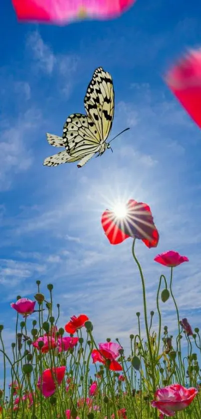 Butterfly over wildflowers with blue sky.