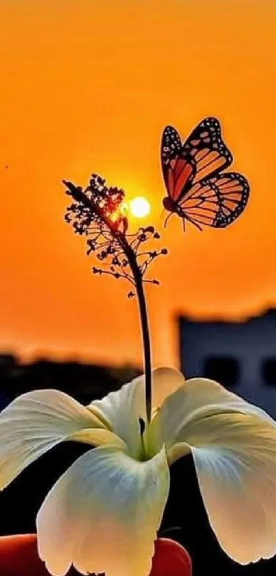 Butterfly and flower silhouette with sunrise backdrop.