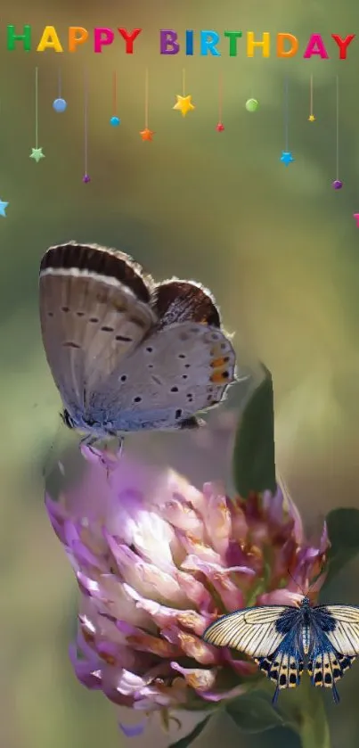 Vibrant birthday wallpaper with butterflies and colorful background.