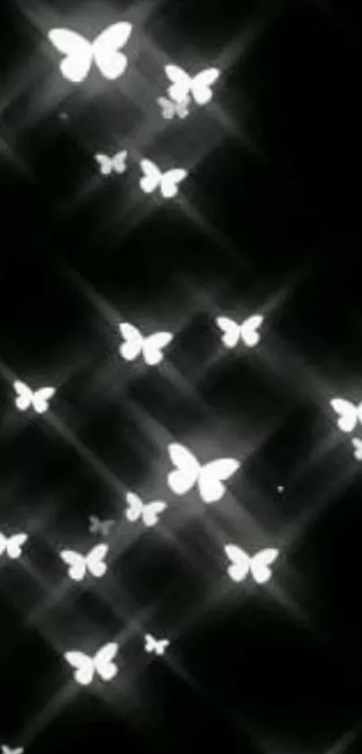 Black and white butterfly wallpaper with a night theme.