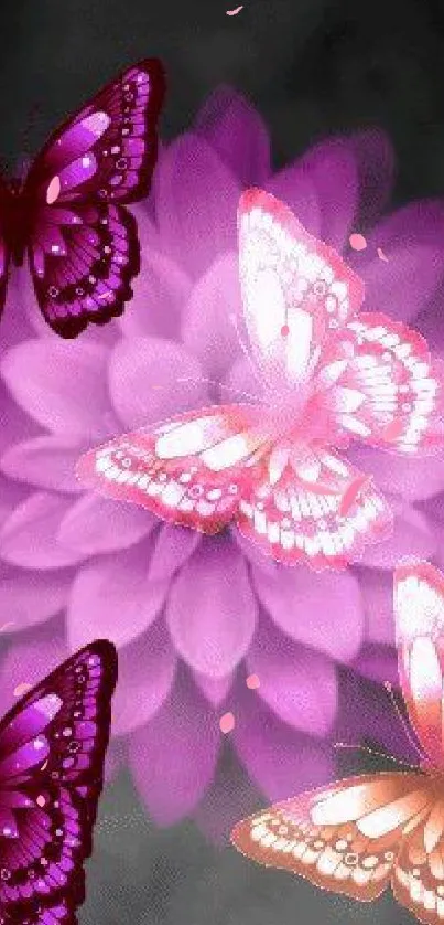 Vibrant pink butterflies on elegant floral backdrop.