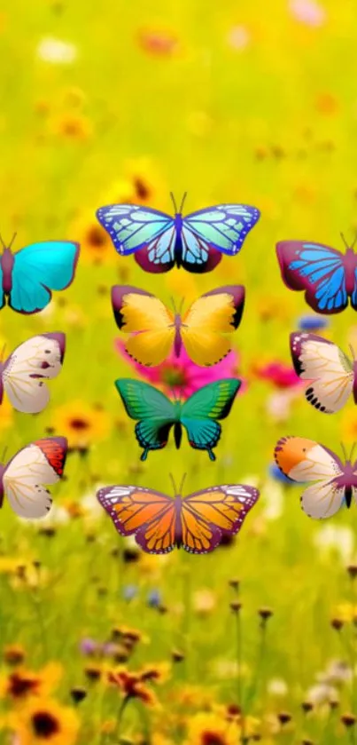 Vibrant mobile wallpaper with colorful butterflies and flowers in a sunny field.