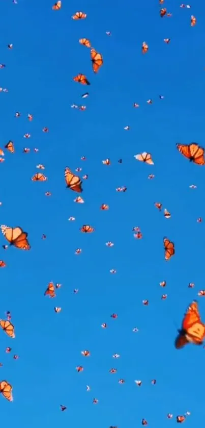 Orange butterflies flying across a bright blue sky.