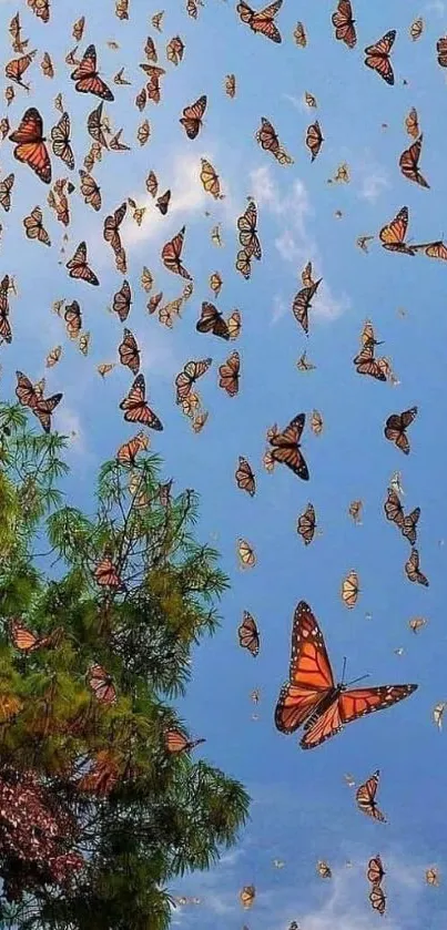 Mobile wallpaper of monarch butterflies flying in a blue sky with trees in the foreground.