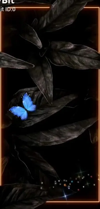 Blue butterfly on dark leaves with an orange glowing frame wallpaper.