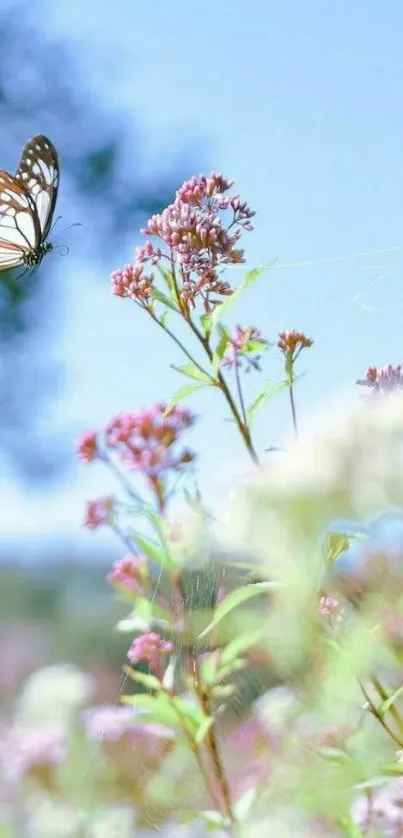 Butterfly on wildflowers beneath a clear blue sky.