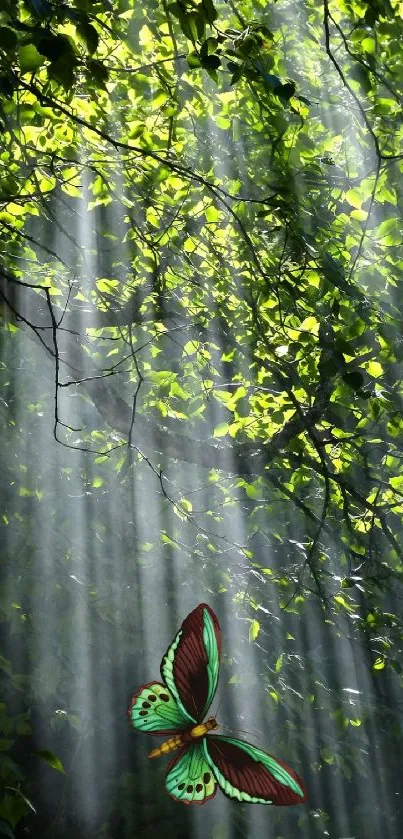 A vibrant butterfly under sunlit forest canopy with lush greenery.