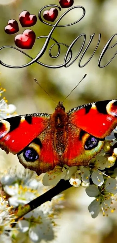 Vibrant butterfly on blossoms with love text.