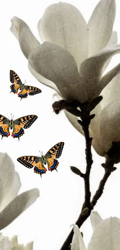 Butterflies flutter around white magnolia blooms.