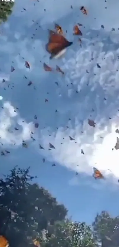 Monarch butterflies migrating in a blue sky over a green forest landscape.