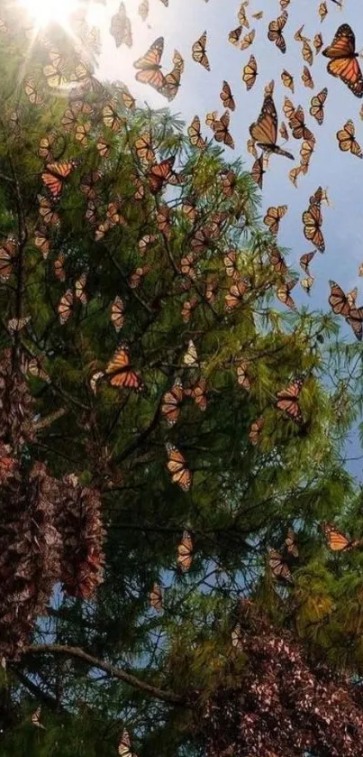 Butterflies fluttering over green trees under a sunny sky.