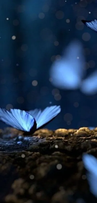 Glowing butterflies in a dark mystical forest night scene.