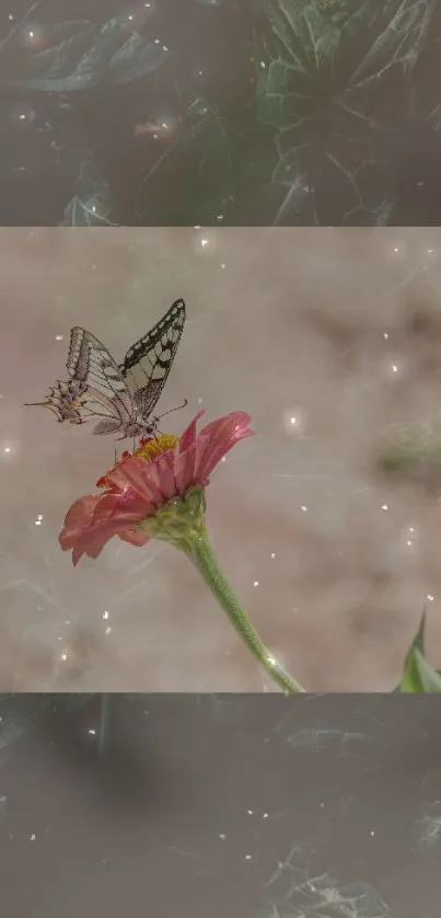 Butterfly perched on a red flower with a sparkly backdrop.