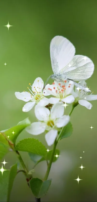 White butterfly rests on blossoming flowers with lush green backdrop.