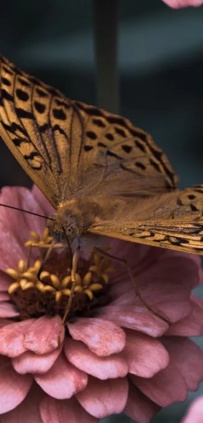 Butterfly resting on a pink flower in a serene setting.