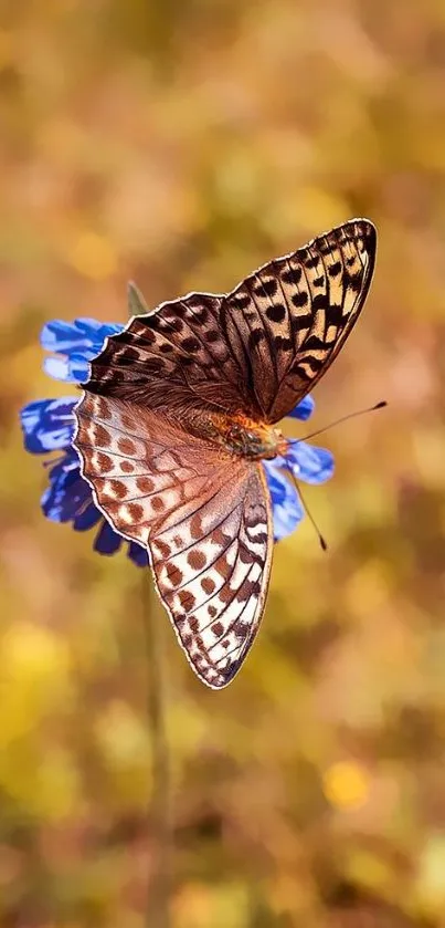 Butterfly on a blue flower amid blurred nature background.