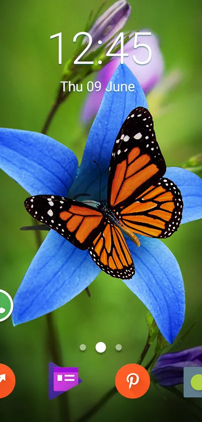 Orange butterfly on blue flower wallpaper with green background.