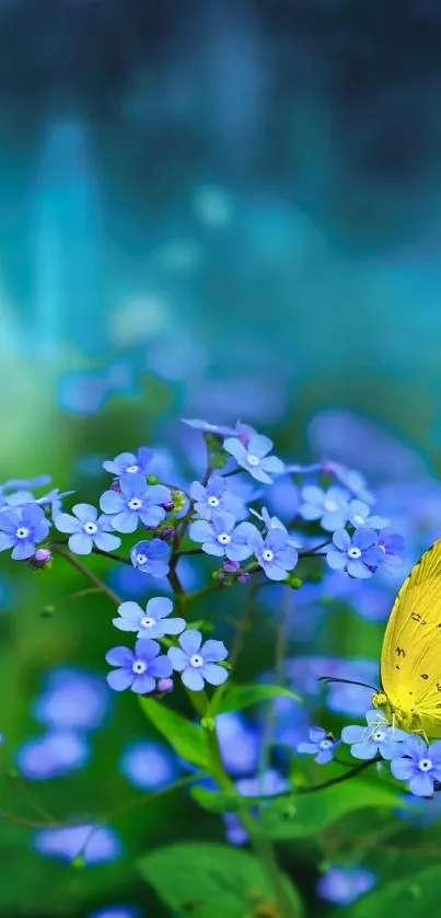 Yellow butterfly on blue flowers with a turquoise background.