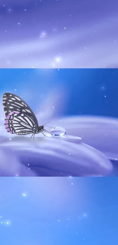 Delicate butterfly on blue flower with shimmering light.