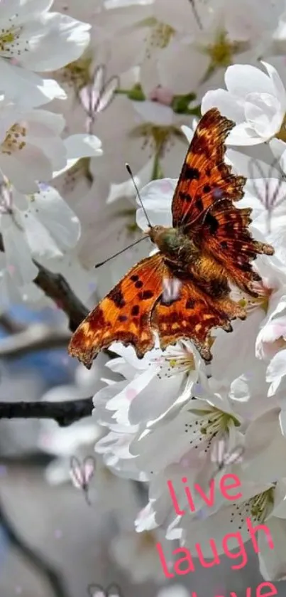 Butterfly resting on white cherry blossoms with motivational text.