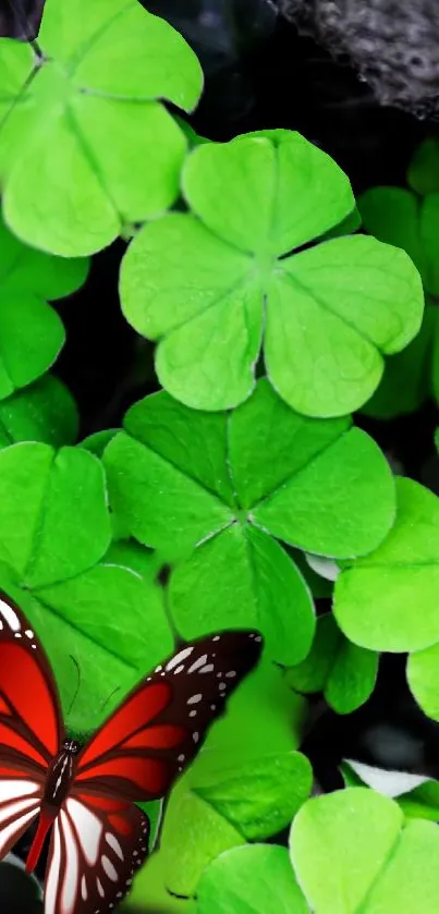 Red butterfly on green clover leaves wallpaper.