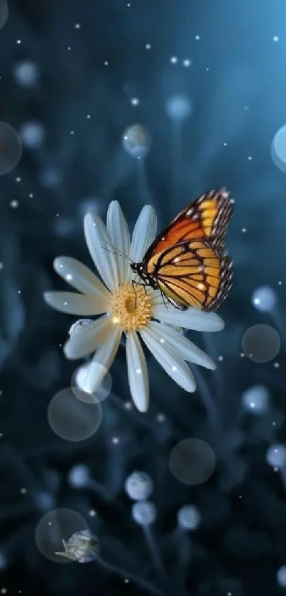 Butterfly resting on daisy with a blue glow background.