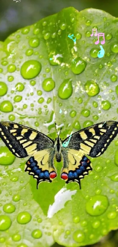 A butterfly rests on dewy green leaves.