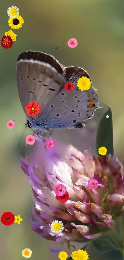 Butterfly perches on a vibrant flower surrounded by colorful floral accents.