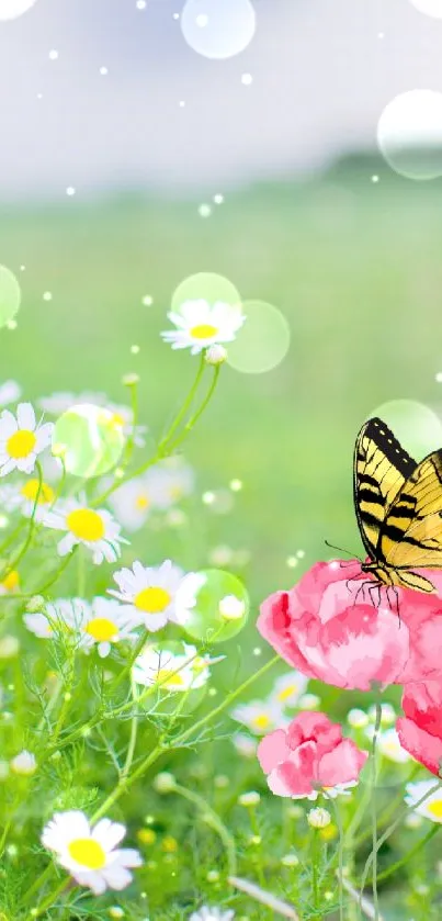 Vibrant butterfly on pink flowers in a green meadow.