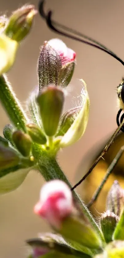 Close-up of a butterfly on a blooming flower showcasing vivid nature details.