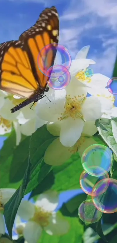 Butterfly rests on white flowers with bubbles floating.