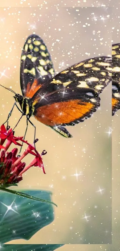 Butterfly on red flower with sparkling background.